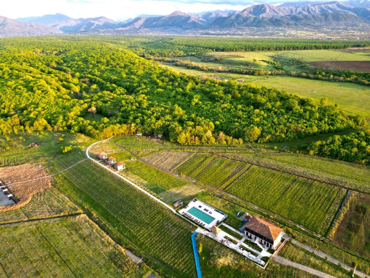 Chateau Vartsikhe מראה חיצוני תמונה