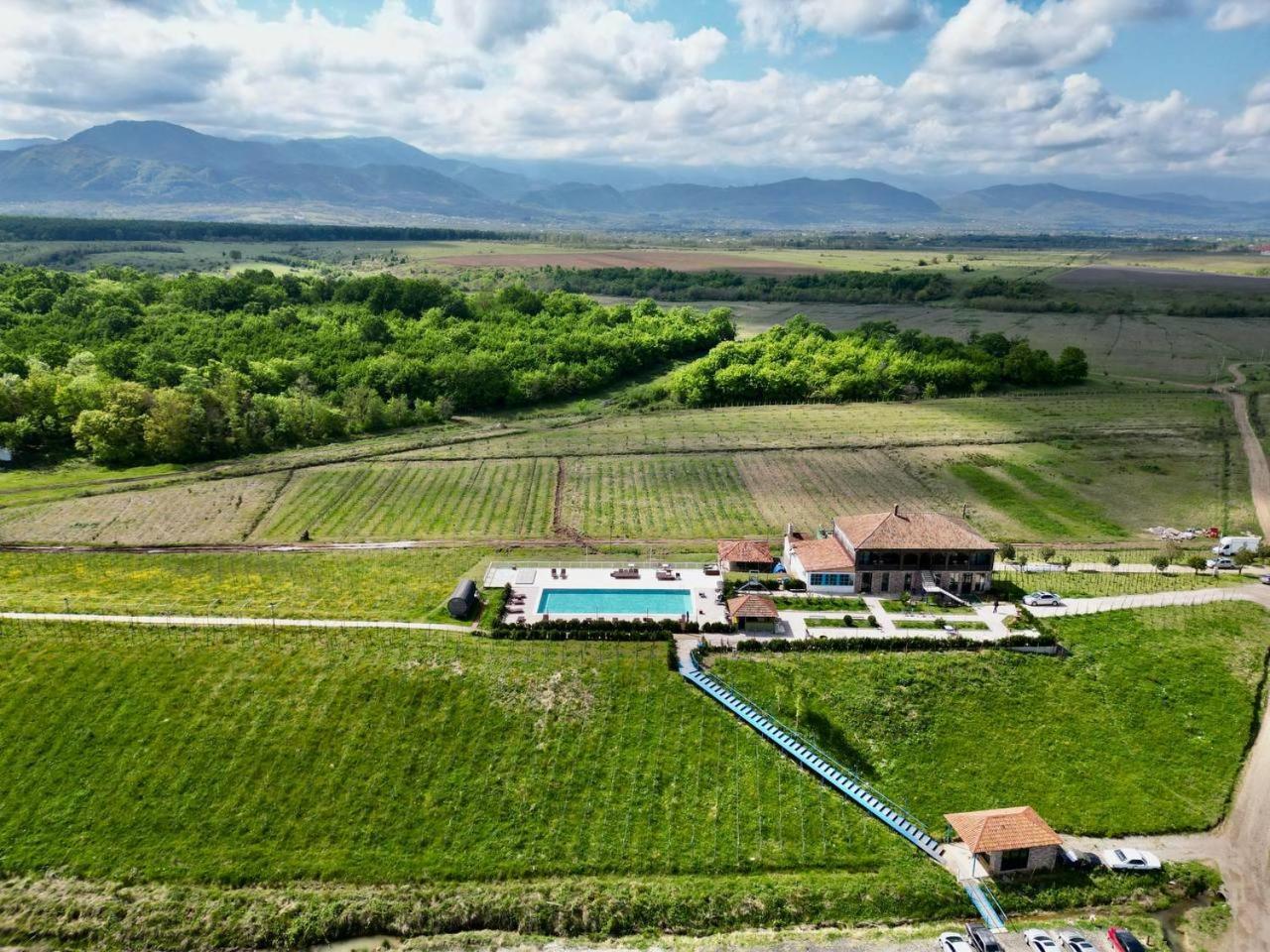 Chateau Vartsikhe מראה חיצוני תמונה