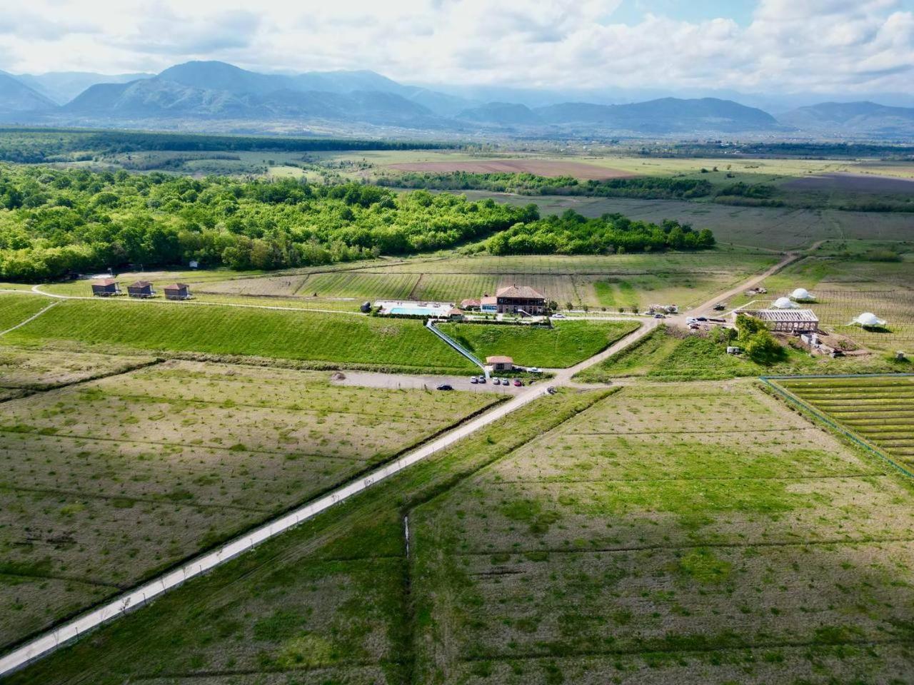 Chateau Vartsikhe מראה חיצוני תמונה